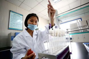 南水北调东中线工程全面通水五周年 非常规水源利用技术研发成节水新亮点